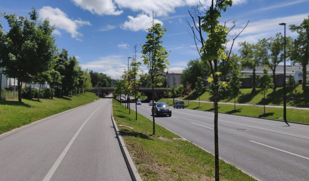 Projektiranje nizkih gradenj