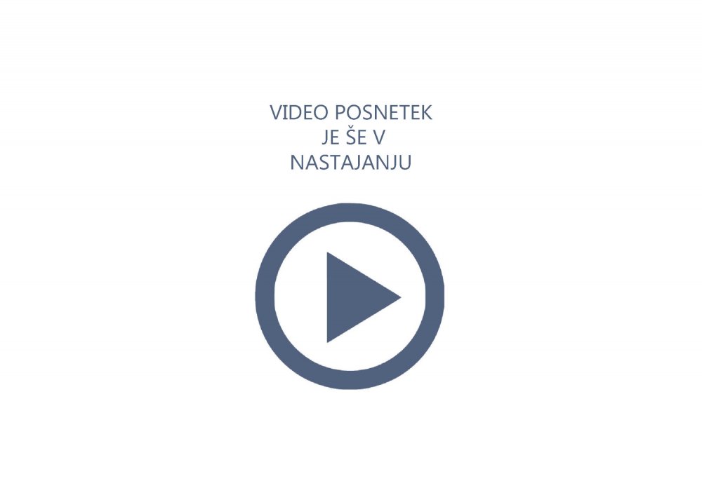 Prometna &scaron;tudija &ndash; Dunajska &ndash; pasovi rezervirani za JPP